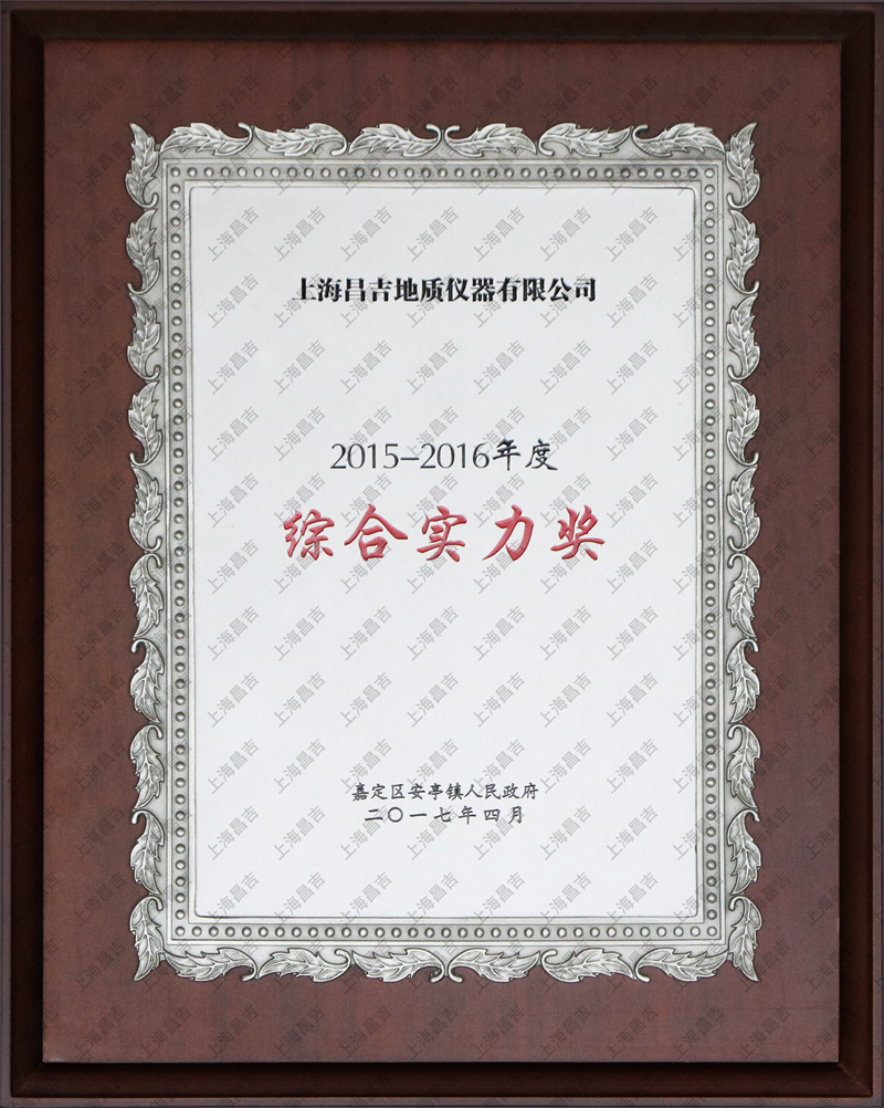 綜合實(shí)力獎