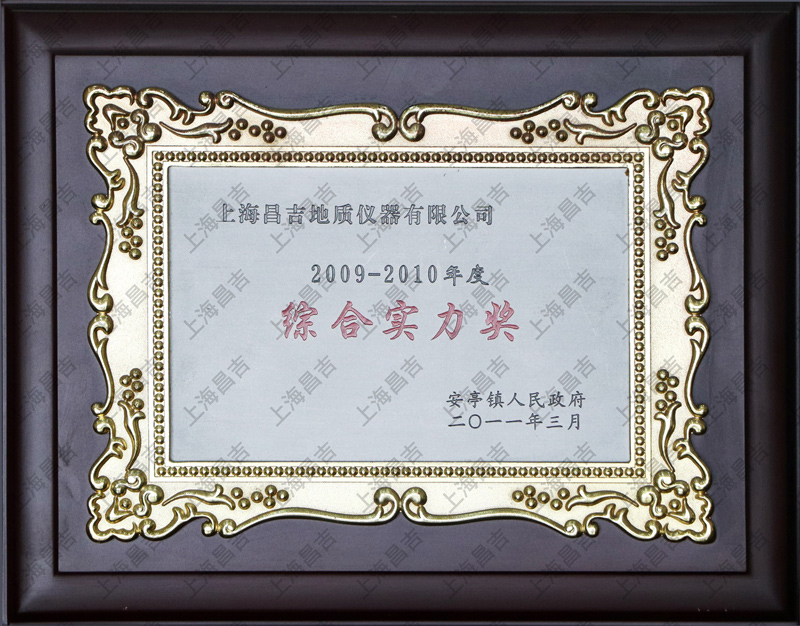 綜合實(shí)力獎